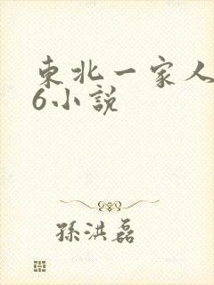 东北一家人1一6小说封面