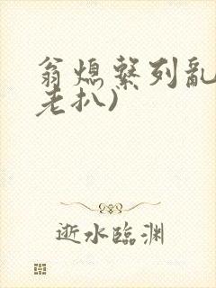 翁熄系列乱 (老扒)