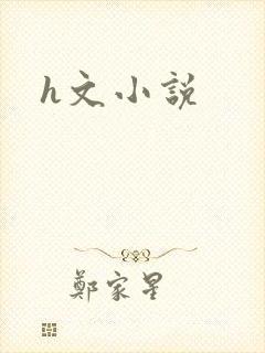 h文小说