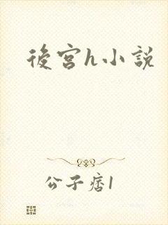 后宫h小说
