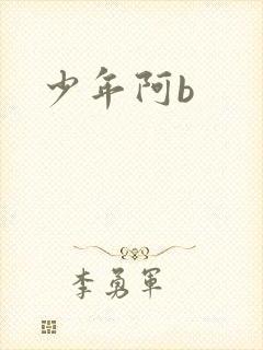 少年阿b