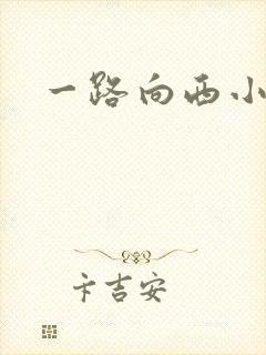 一路向西小说