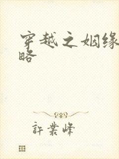 穿越之姻缘劫攻略