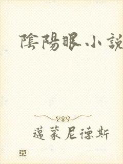 阴阳眼小说