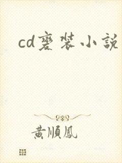 cd变装小说