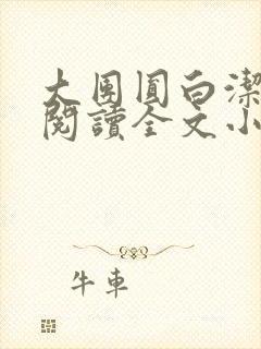 大团圆白洁免费阅读全文小说