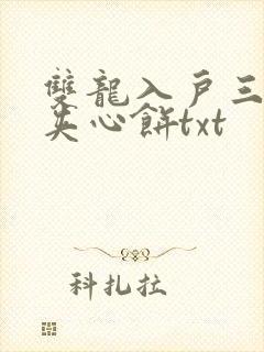 双龙入户三人行夹心饼txt