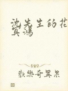 沈先生的花式调冥鸿