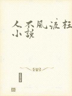 人不风流枉少年小说