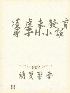 凌虐未发育的小身子H小说