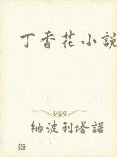 丁香花小说