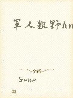 军人粗野hnp