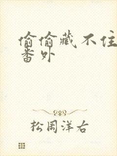 偷偷藏不住新婚番外