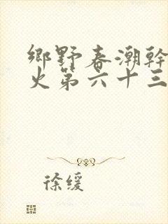 乡野春潮干柴烈火第六十三章