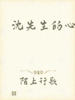 沈先生的心头宝