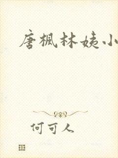 唐枫林姨小说