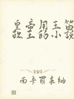 皇帝用玉笛整摄政王的小说