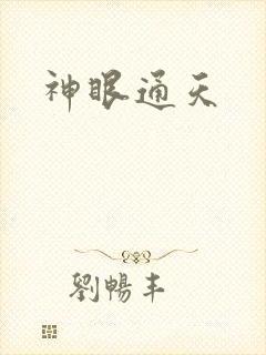 神眼通天封面