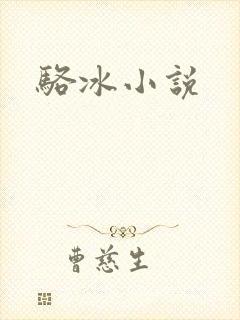 骆冰小说