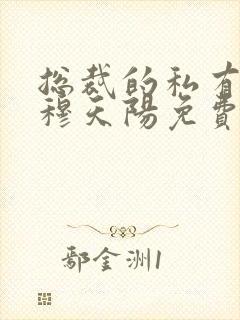 总裁的私有宝贝穆天阳免费