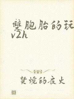 双胞胎的玩具1v2h