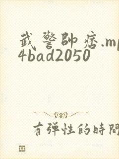 武警帅痞.mp4bad2050