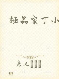 极品家丁小说