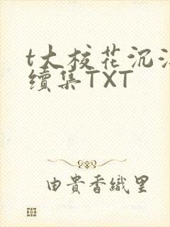 t大校花沉浮录续集TXT