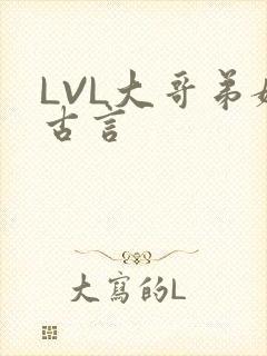 LVL大哥弟媳古言