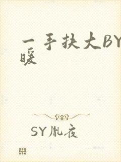 一手扶大BY泱暖封面