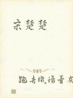 宋楚楚