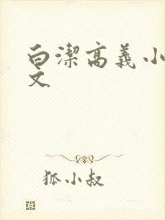 白洁高义小说全文