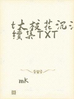 t大校花沉浮录续集TXT