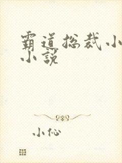 霸道总裁小娇妻小说