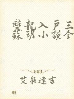 双龙入户三人行苏玥小说全文阅读
