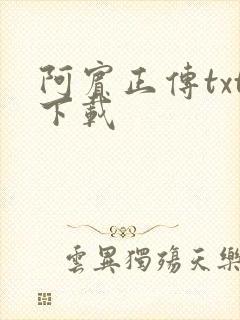 阿宾正传txt下载