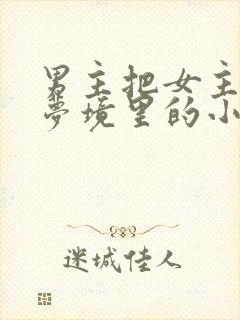 《男主把女主拖进梦境里的小说》小说封面