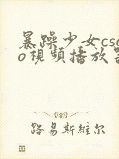 暴躁少女csgo视频播放器推荐