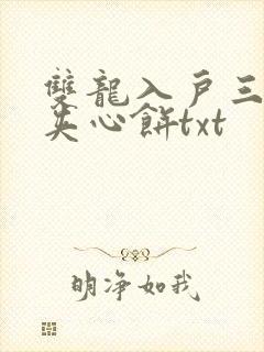 双龙入户三人行夹心饼txt