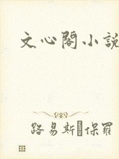 文心阁小说
