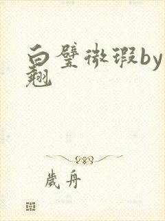 白璧微瑕by连翘