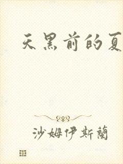 《天黑前的夏天》小说封面