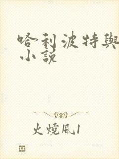 哈利波特与密室小说