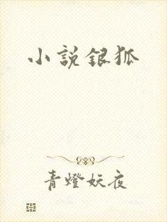 小说银狐