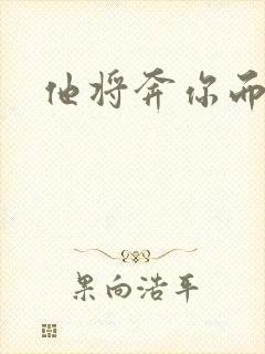 《他将奔你而来》小说封面