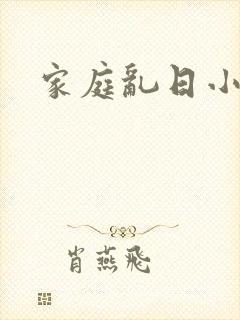 家庭乱日小说