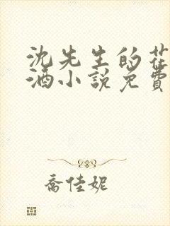 沈先生的花式调酒小说免费阅读