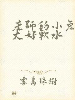 老师的小兔子好大好软水封面