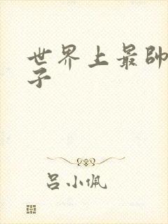 世界上最帅的虫子