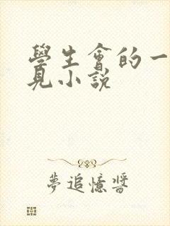 学生会的一己之见小说